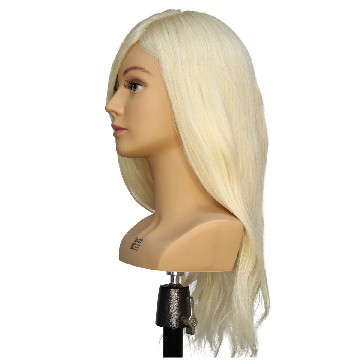 Hairart Blonde Ava Updo & Bridal Training Shoulder Mannequin