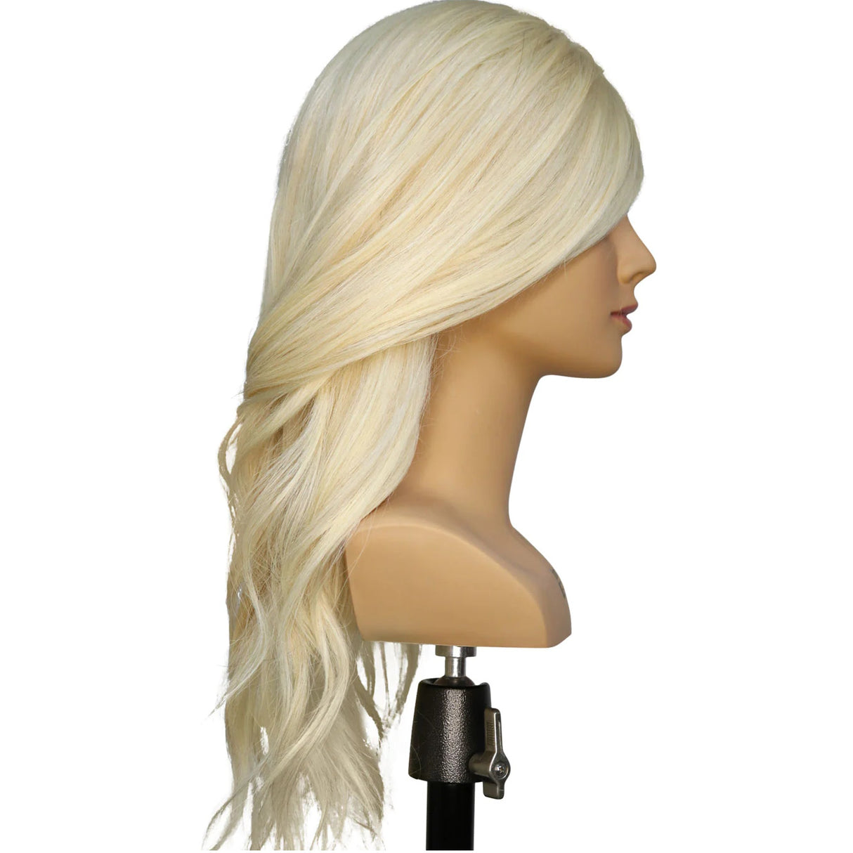 Hairart Blonde Ava Updo & Bridal Training Shoulder Mannequin
