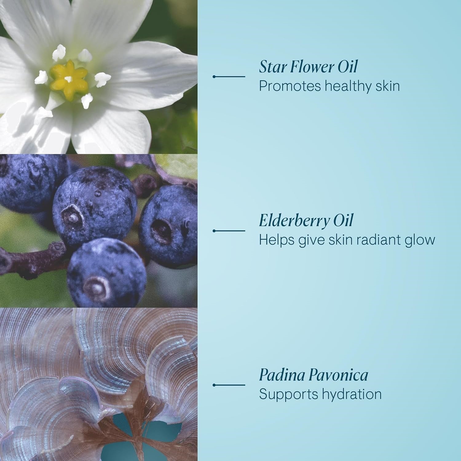 Elemis 3.5oz Pro-Collagen Cleansing Balm