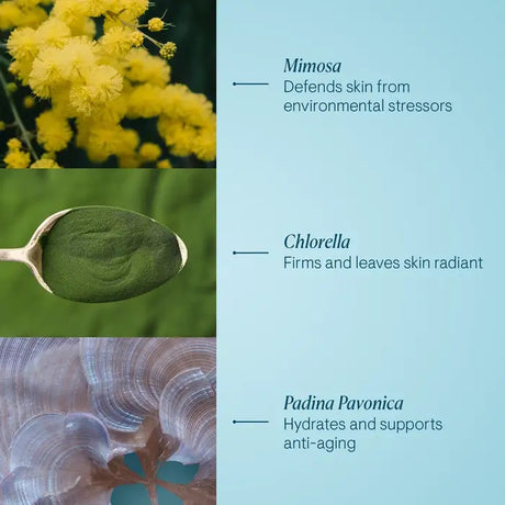 Elemis 3.3oz Pro-Collagen Marine Cream