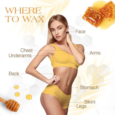 GiGi All Purpose Honee Wax 14 oz.