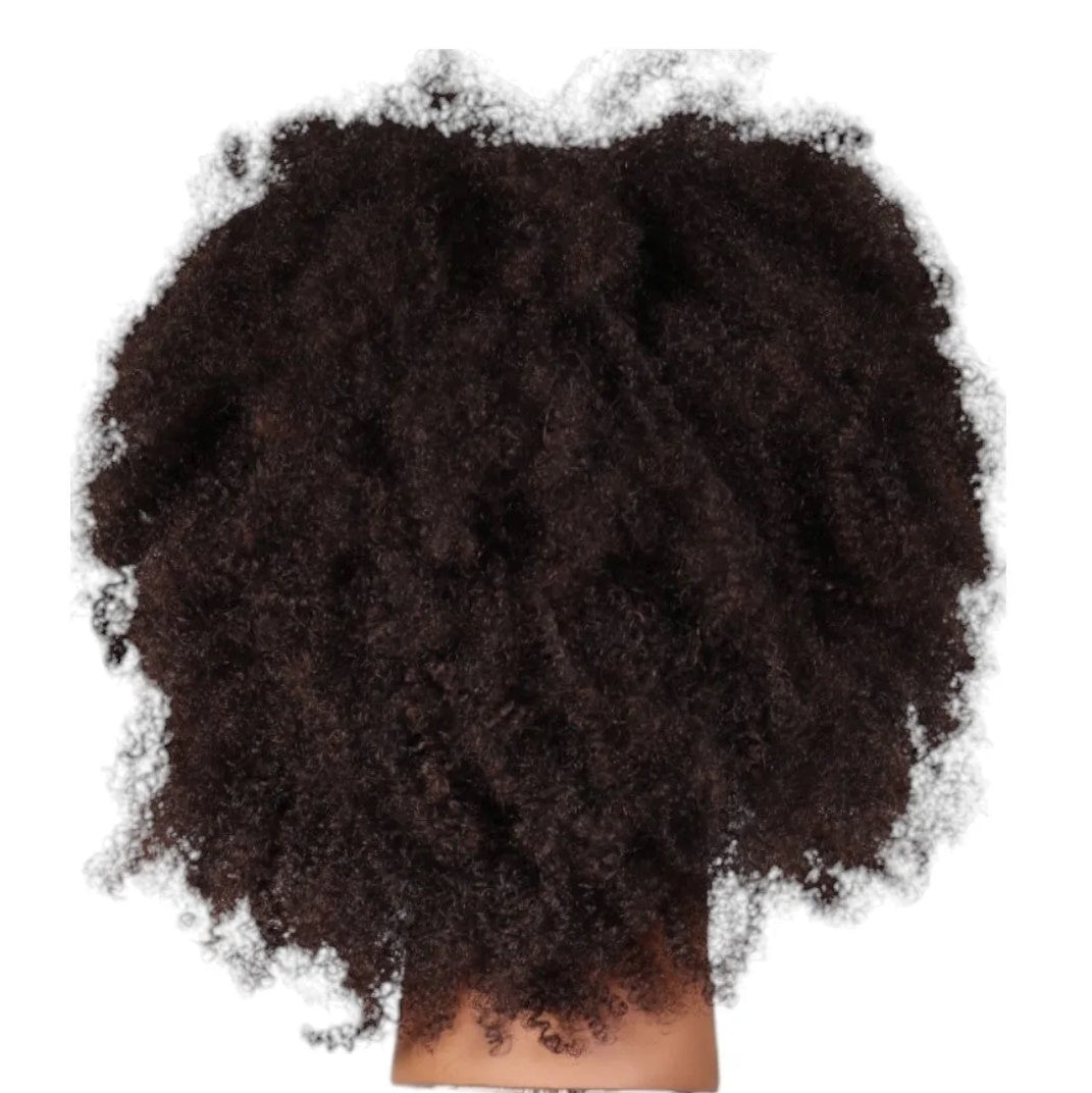Hairart Carter Male Textured Afro Mannequin Head