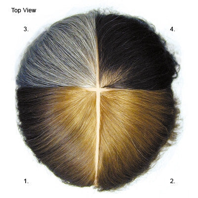 Tammie Hair Color Training Manikin Head