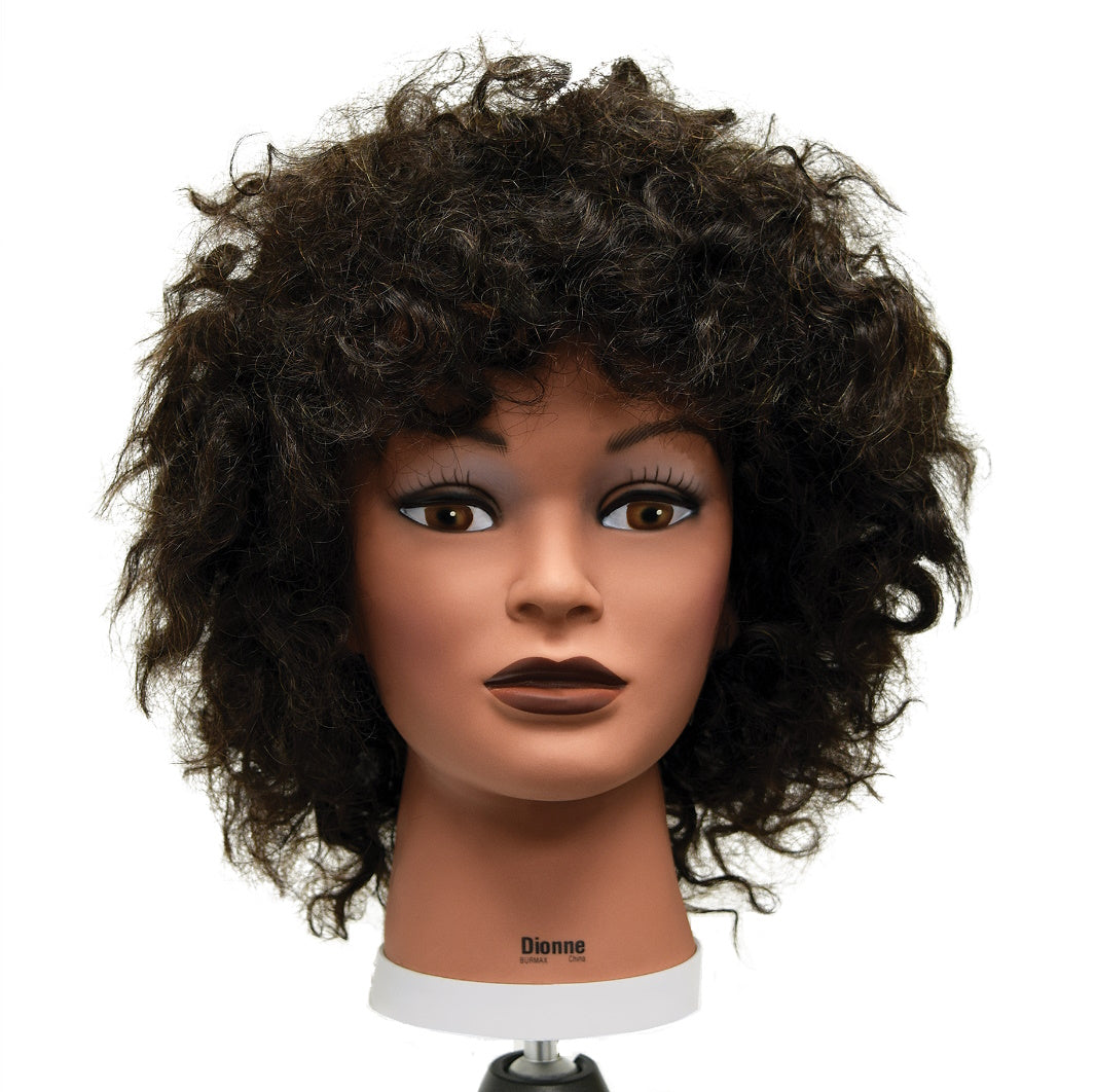 Celebrity E355 Dionne Classic Curl Mannequin Head 