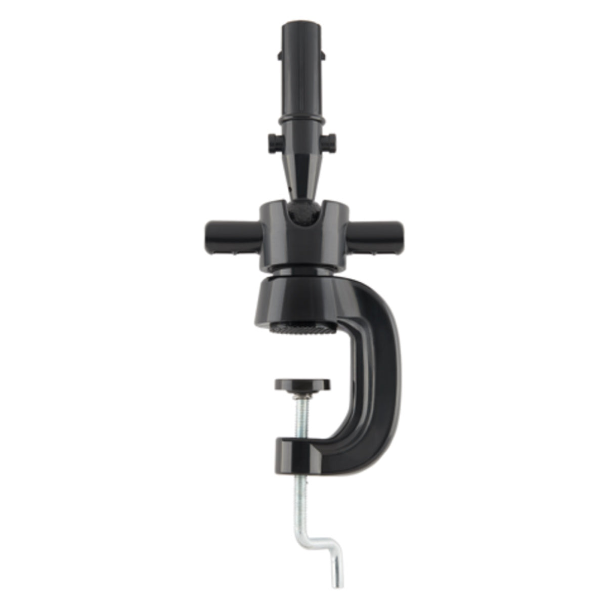 Celebrity Hailey Manikin w/ Head Locking Holder