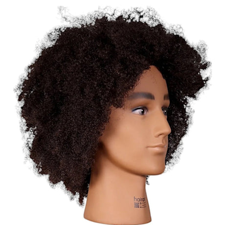 Hairart Carter Male Textured Afro Mannequin Head 