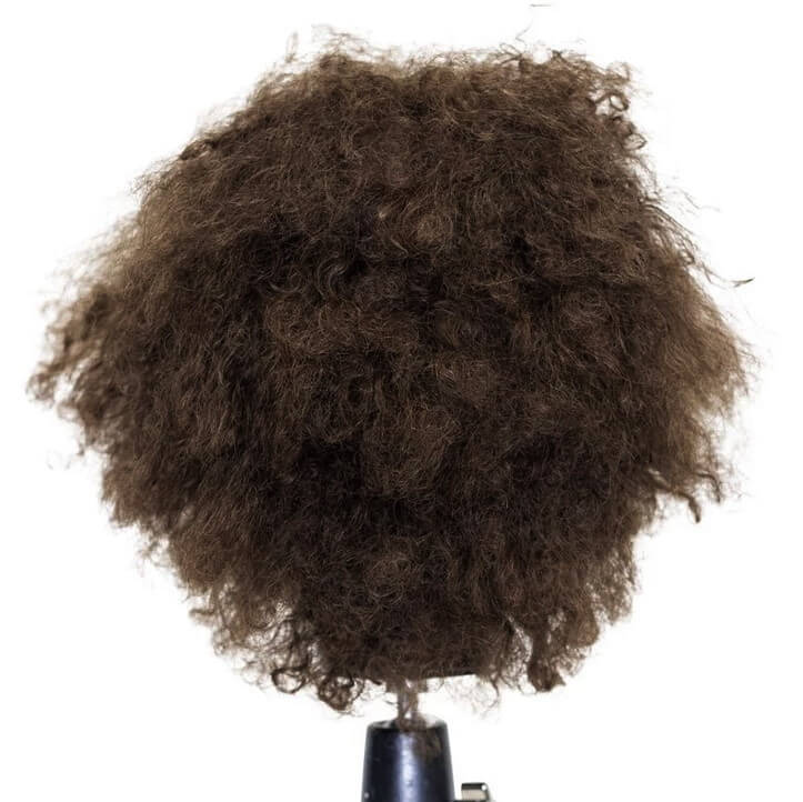 Hairart Trisha Curly Hair Mannequin Head