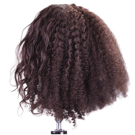 Celebrity Keke Curly Quad Manikin Hair Implanted in Four Separate Quadrants 