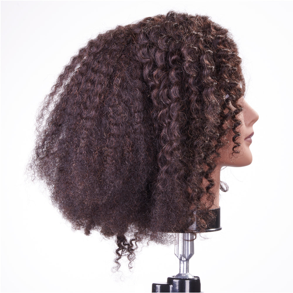 Celebrity Keke Curly Quad Manikin Hair Implanted in Four Separate Quadrants 